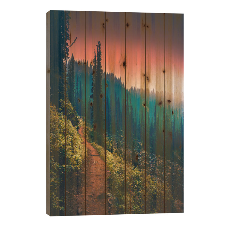 Millwood Pines Colour Spectrum On Wood by Zach Doehler Print | Wayfair