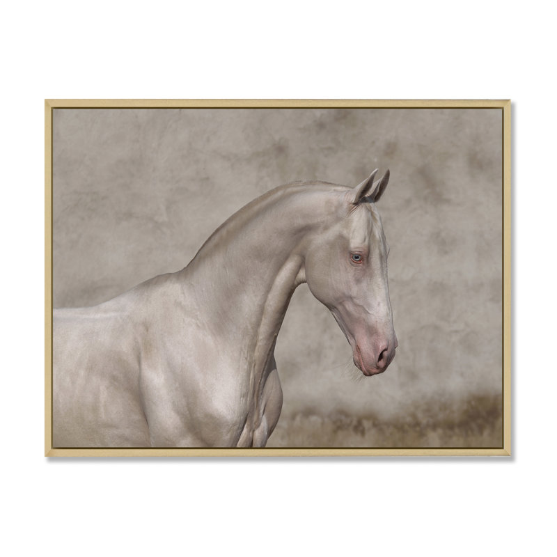 Portrait d'un cheval blanc au galop III - reproduction sur toile, H 34 po x l 44 po, Cadre flottant en érable