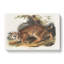 American Wildcat - Wrapped Canvas-55368694