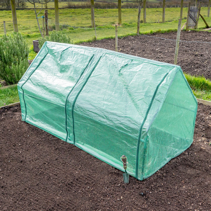 Hesperus 2.9 Ft W x 5.9 Ft D Cold Frame