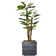 Buchanan 66" Artificial Scindapsus Aureus Tree in Planter