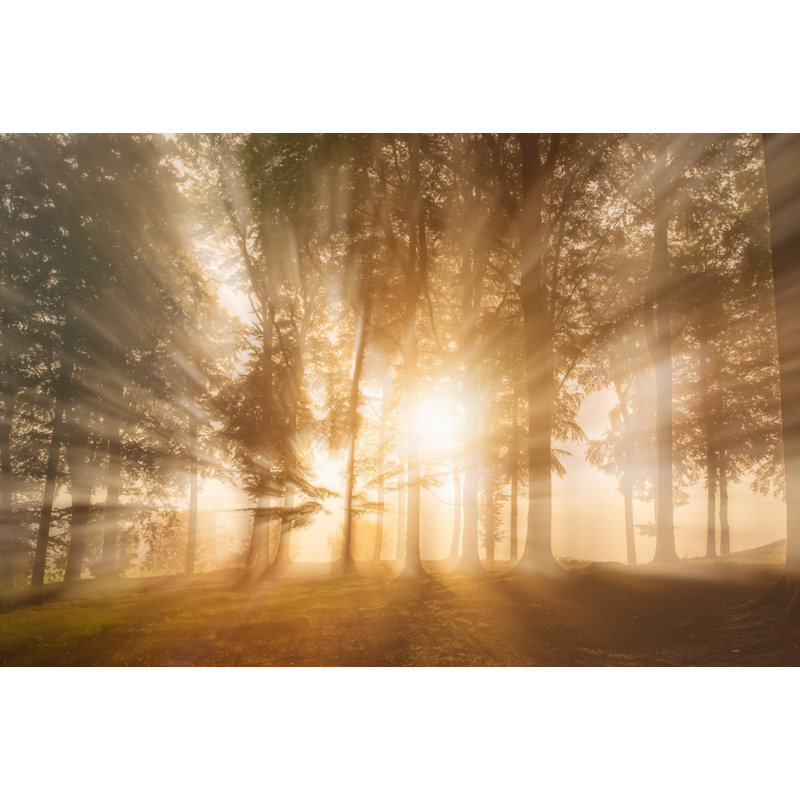 Wrapped Canvas Print, 50.8 cm H x 76.2 cm W