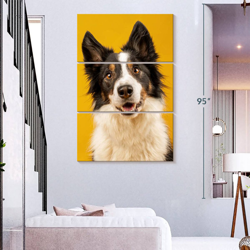 Brampt Adorable Border Collie, 74" H x 48" W