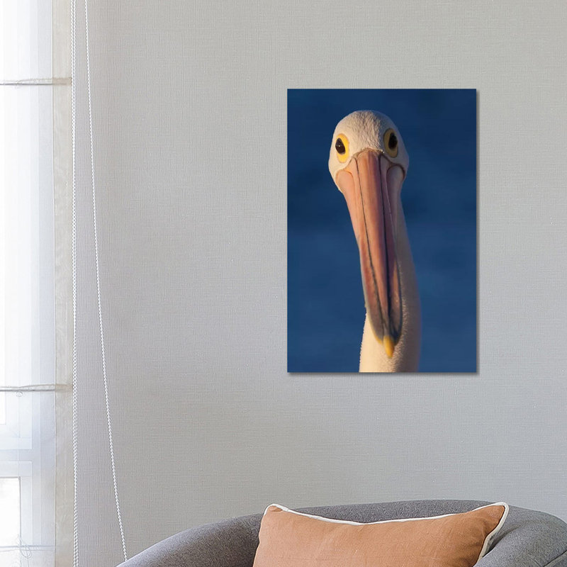Australian Pelican by Mogens Trolle - Wrapped Canvas Gallery-Wrapped Canvas Giclée, 66.04 cm H x 45.72 cm W x 1.91 cm D