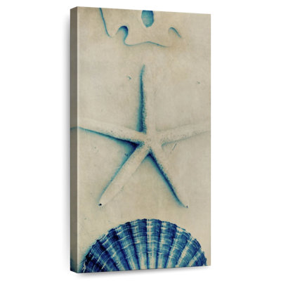 Seashells On White Sand