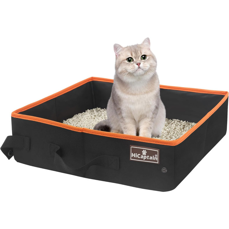 Litière portative pour chat, bac à litière pliable pour le voyage en voiture, transporteur de plateau pliable pour les petits chats moyens