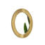 Miroir Cyclis 31 po-124064250