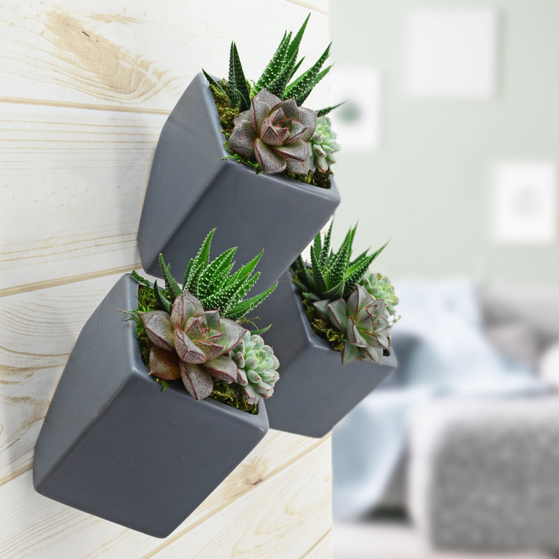 Ensemble de pots à fleurs muraux en céramique 3 pièces Ealy, Gris foncé