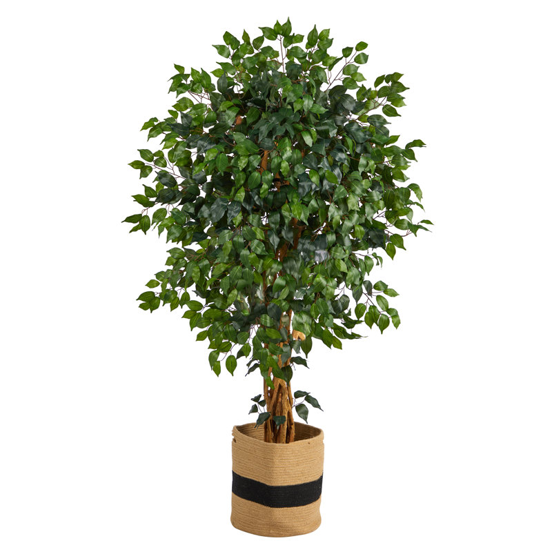66'' Faux Ficus Tree in Planter