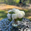 White hydrangeas arrangement in vase