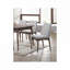 2 chaises de salle à manger