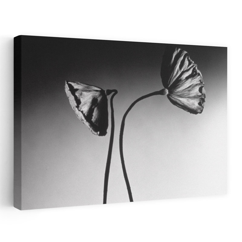 Art mural contemporain noir et blanc de nénuphars sur fond blanc, H 40 po x l 60 po