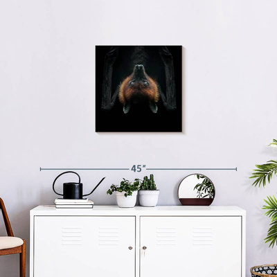 Crowle Upside Down Flying Fox Bat