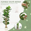 Faux Fiddle Leaf Fig Tree Plant in Cement Freestanding  Planter-127081101