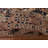 Brown   Area Rug 7x10