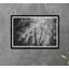 Crepuscular Rays Print by Tim Klein