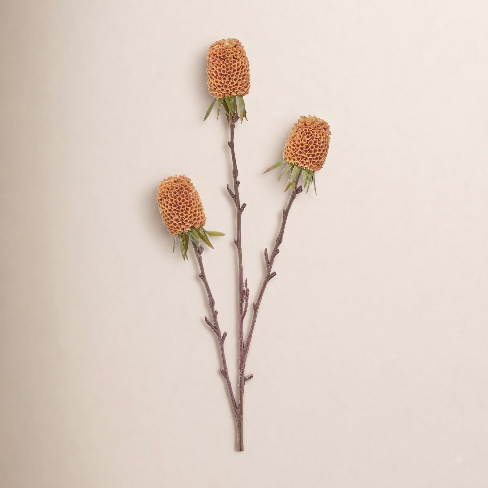 29" Autumn Thistle X3, Coral