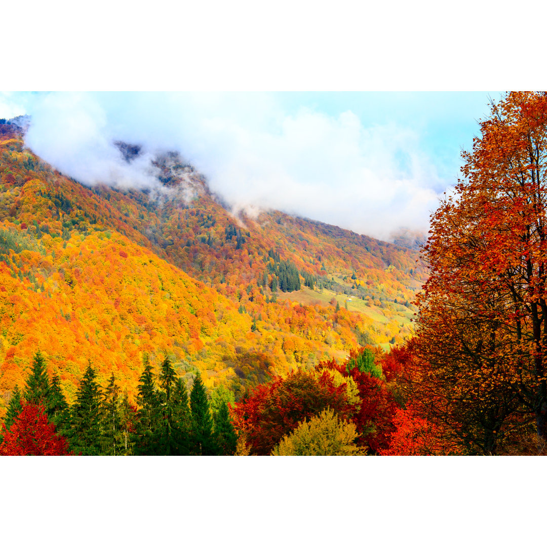 Goldener Herbst von Misha Kaminsky - Kunstdrucke auf Leinwand