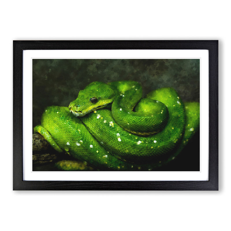 Green Python Snake - Framed Print, Black Framed, 48cm H x 65cm W x 2cm D
