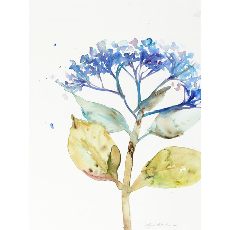 Bloom V par Allyson Fukushima - impression, Plexi, H 40 po x l 30 po