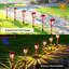 Ensemble de 4 lumières de Noël imperméables pour allées, trottoirs et jardin