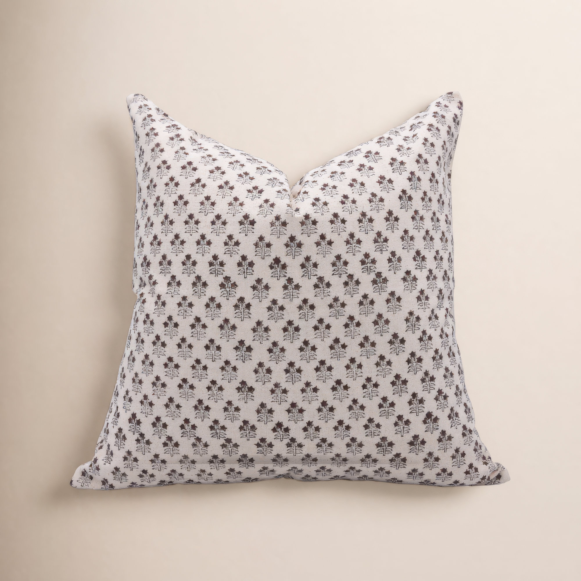 Levert Cotton Indoor/Outdoor Pillow Cover, 22" x 22"
