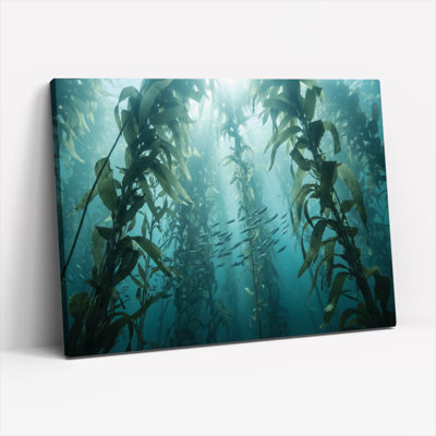Ensemble de 1 tableau sur toile représentant une forêt de varech sous-marine