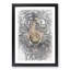 Prowling Tiger in Abstract - Framed Print-55768092-55768093