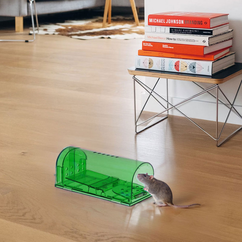 Mouse Cage