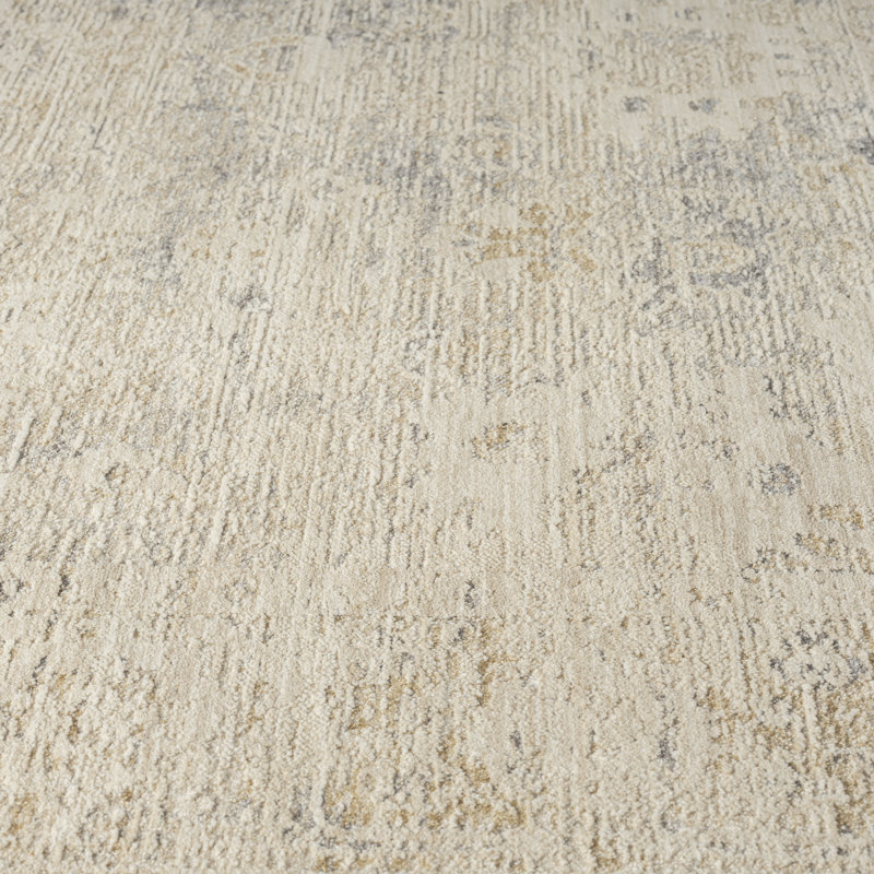 Kwamane Beige/Stone Blue Traditional Distressed Floral Power-loomed Indoor Area Rug, Rectangle 7'10" x 10'