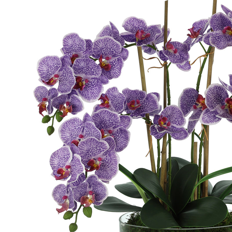 Faux Orchid Arrangement in Glass Vase with Moss
