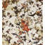 Les Papiers Floral Wallpaper Double Roll-74864296