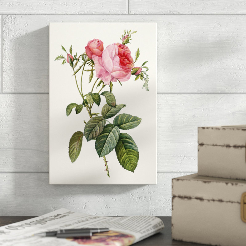 «Redoute's Rose II», peinture sur toile, H 12 po x l 8 po