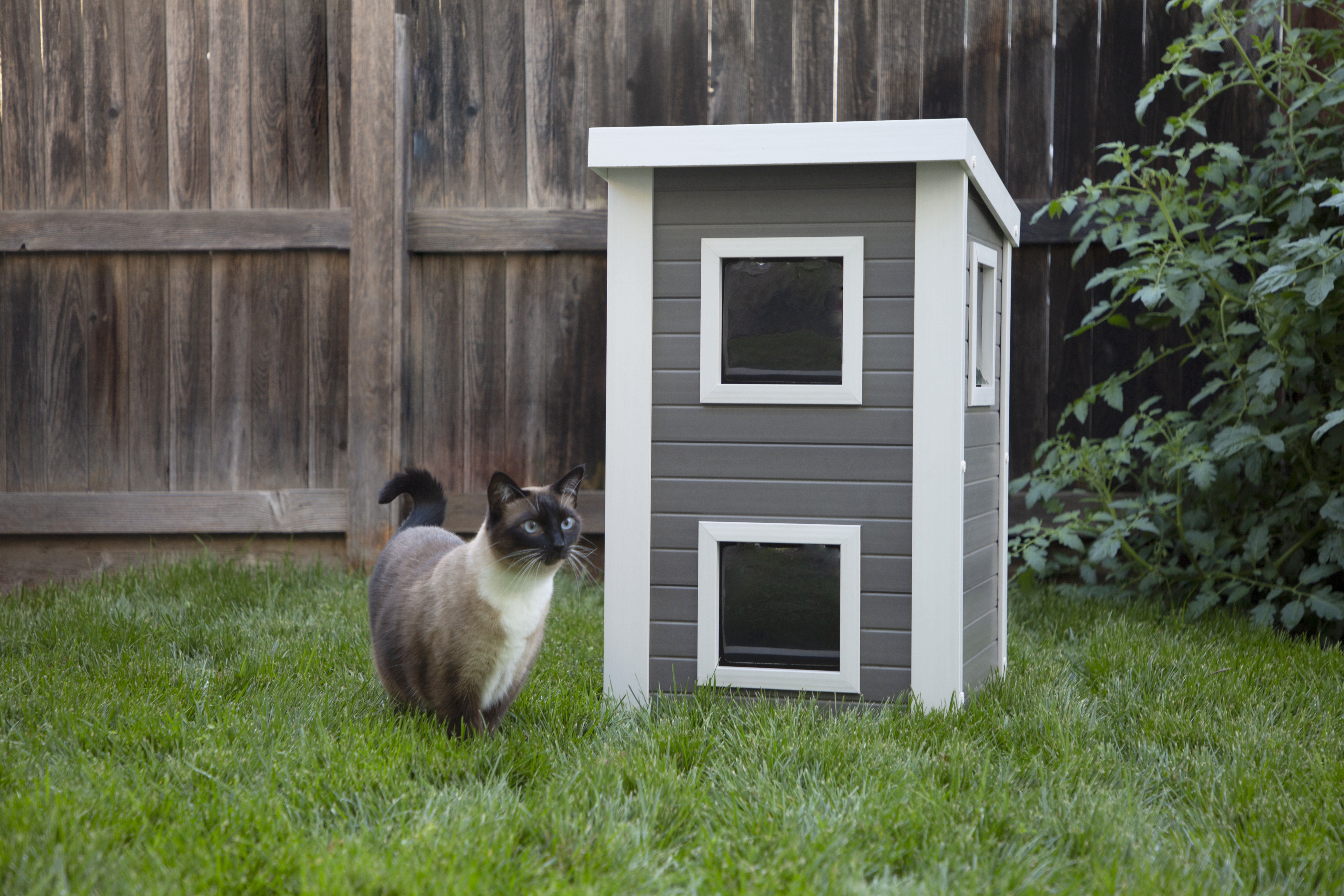 Elevated outdoor cat clearance house