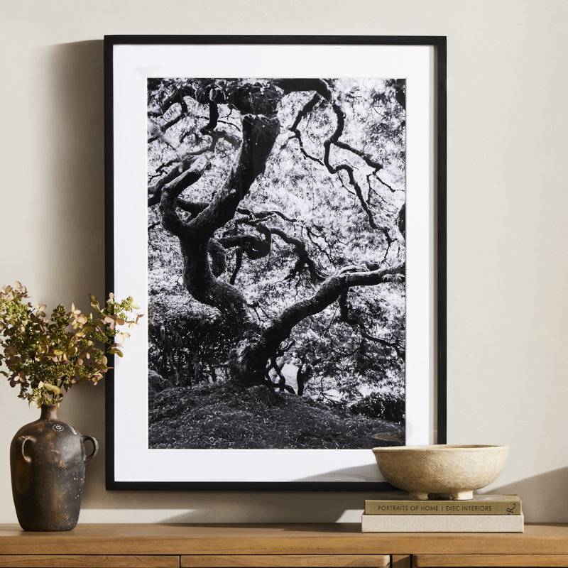Tree Gaze IV Print by Coup D'Esprit, 40" H x 30" W x 2.5" D