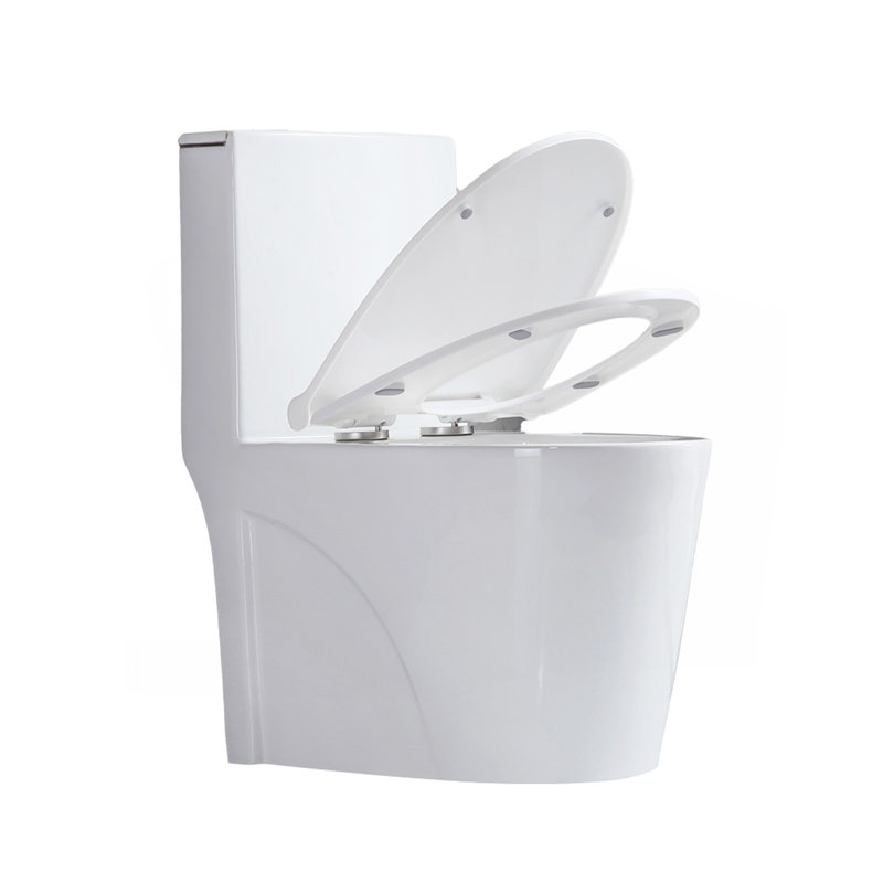 Petite toilette compacte une pièce à double chasse