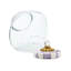 Cookie Jar With Violet Check Lid-1505038351