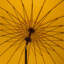 252cm Market Parasol-1257551746