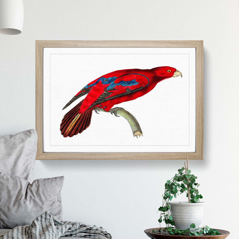 Blue-Tipped Lory by George Shaw - Picture Frame Painting, 40cm H x 60cm W x 2cm D, Oak