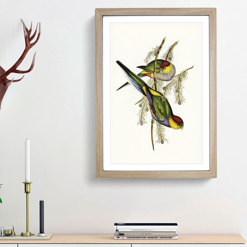 Red-Capped Parakeets by Elizabeth Gould - Picture Frame Painting Print, 48cm H x 36cm W x 2cm D, Oak Framed