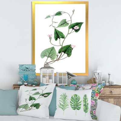 " Leaves Plants IX "