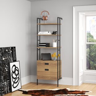 https://assets.wfcdn.com/im/32308277/resize-h310-w310%5Ecompr-r85/1520/152000916/Bierman+Storage+Bookcase.jpg