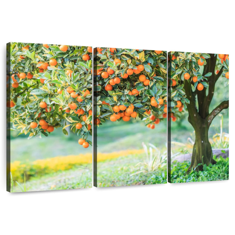 Harnek Orange Tree, 20" H x 33" W