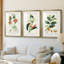 Turpin Tropical Botanicals IV - reproduction sur mesure encadrée de qualité supérieure - 3 pièces-1893982536-1893982646