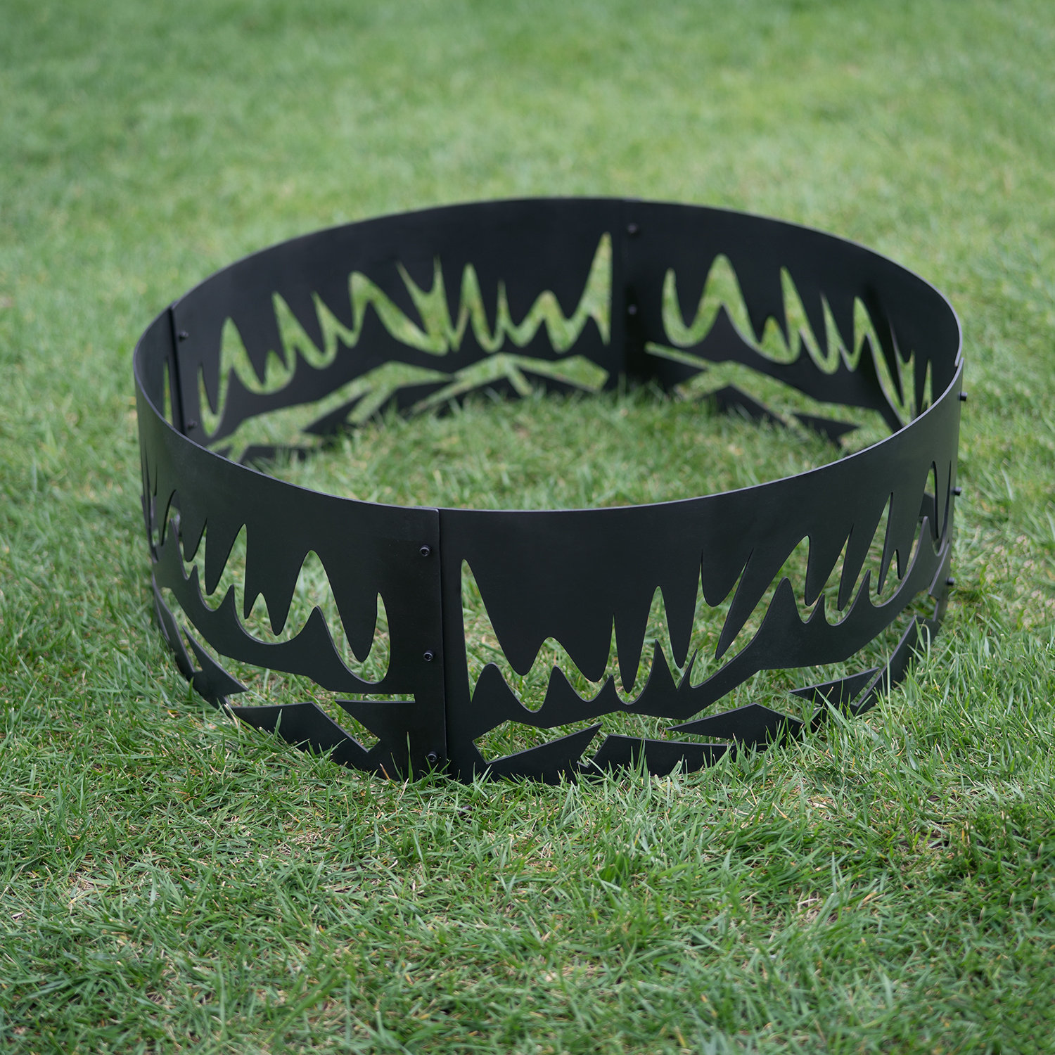 Ebern Designs Jenaka Steel Wood Burning Fire Ring | Wayfair
