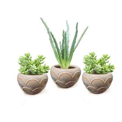 Plante grasse artificielle 5 po en pot