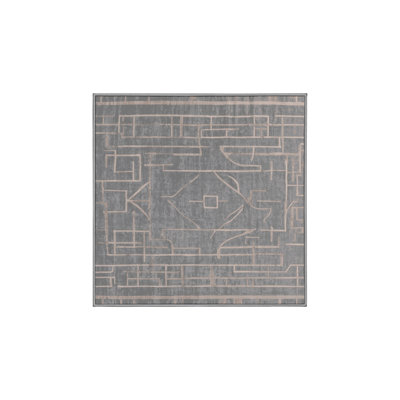 Machine Washable Gray Area Rug