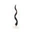Natural African Kudu Horn on Lucite Stand