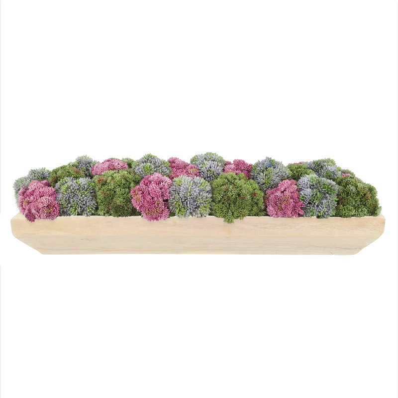 Sedum and Moss Arranged in Wood Planter, Green/Pink