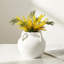 Vase en céramique blanc mat 6 "avec poignées Soma-884424648-884424650